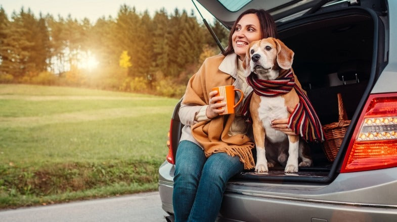 What makes dogs such great pets?